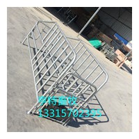 普通管定位栏养殖设备厂家出售